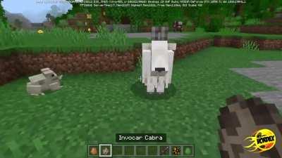 Bug sinistro que vota pra ter no minecraft