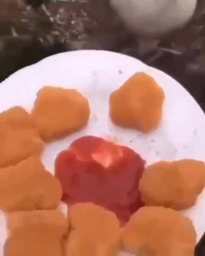 Q U E ? (my first time here after a long time PiPiPi e pOpOpO)