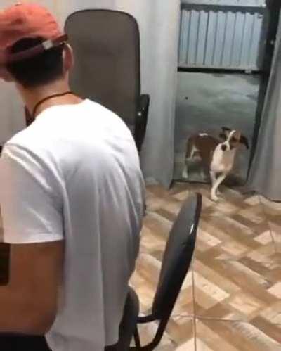 vai chegando a sexta-feira e a gnt só: