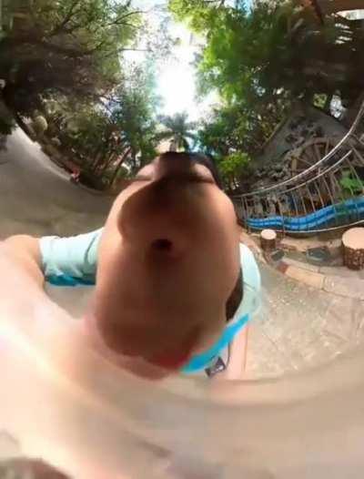 What kind of animal is that?