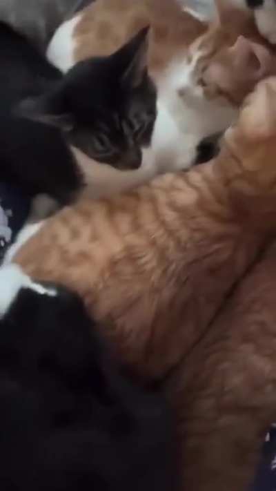 If You Are Hurting Today, THEN LET THIS HEAL YOU!!