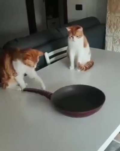 a spinning machinary