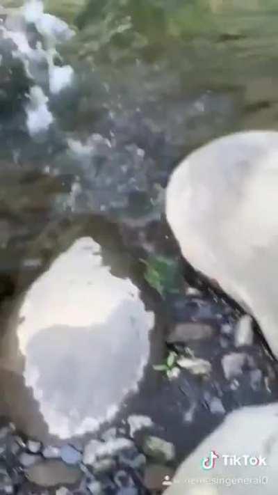 I simply HAD to add this song from Sonic Unleashed to this video