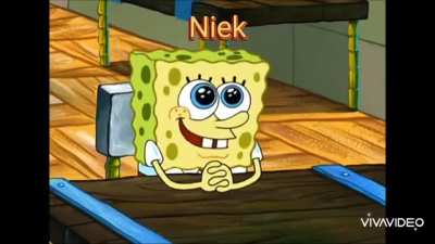 Fast hattest du es richtig Niek