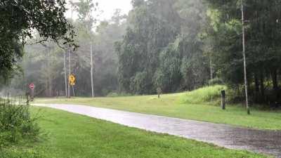 Hurricane Sally from central Florida