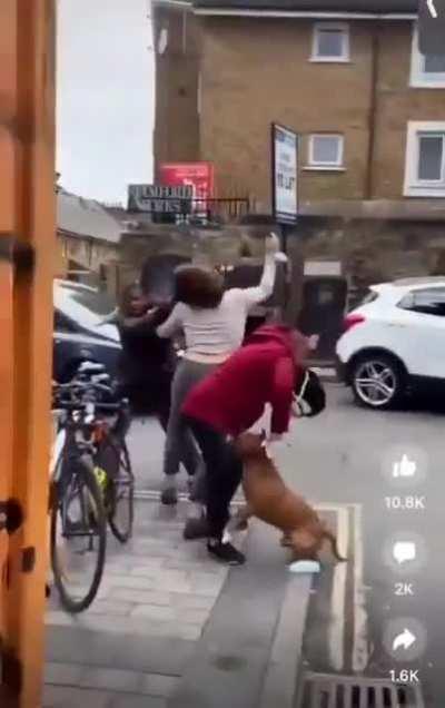 Woman walking a pitbull tries to stop a mugging. The pitbull attacks the woman being mugged, and then attacks its owner. The mugger gets away unharmed.