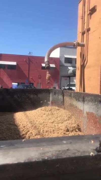 What my butt looks like after eating my 7th burrito in 3 days