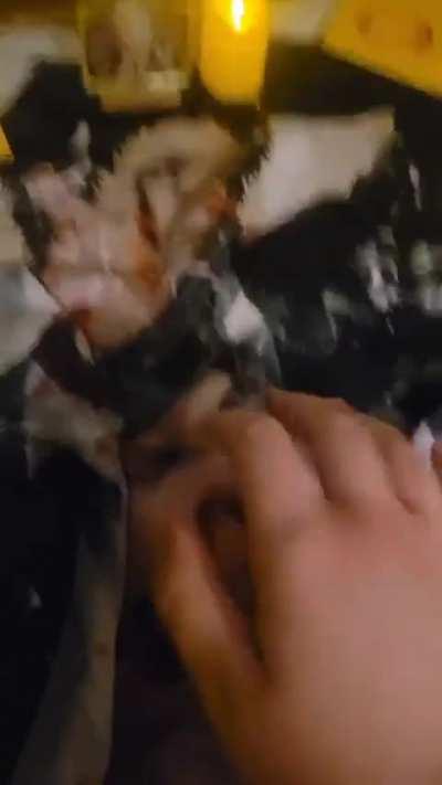 Never coming close to a Adachi fans room cuz what the fuck is this💀💀💀