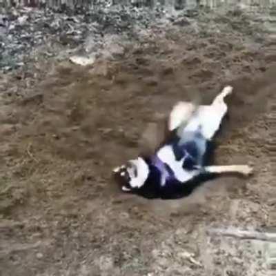 digging is hard and frustrating