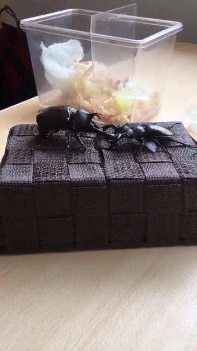 Your people need you!