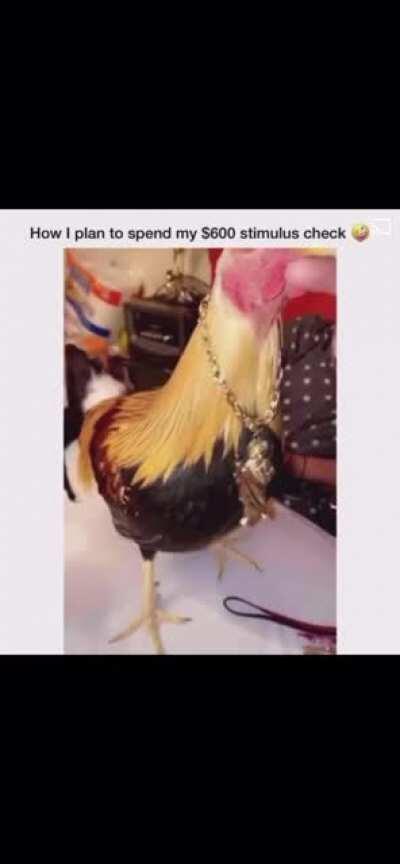 My Madre doesn&rsquo;t approve of my takuacheando