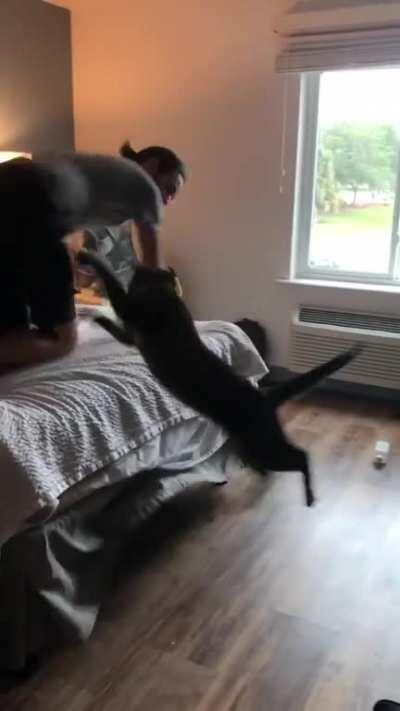 Monster under the bed!