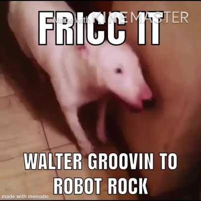 Walter jamming doe🤠🤠