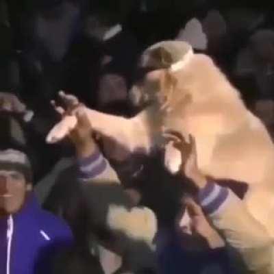 El admin del subreddit andaba de fiesta