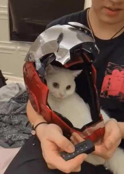 Iron pussy