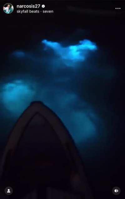 Swimming through bioluminescent plankton in the otherwise pitch black ocean. Credit: Mike Winkles, @narcosis27 / IG