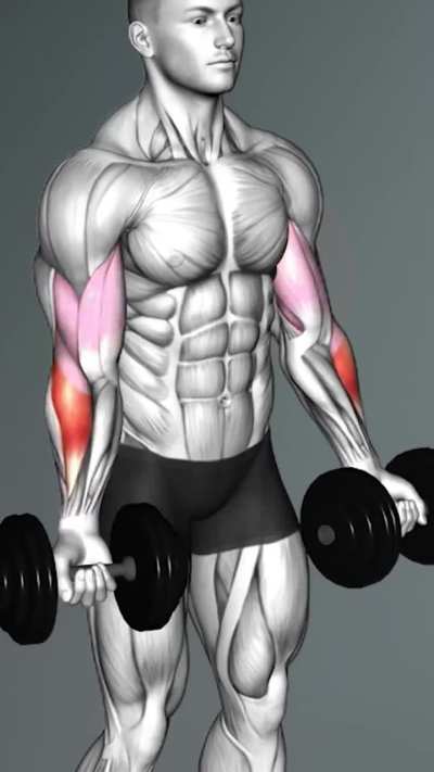 💪🏻Full Biceps Workout With Dumbbell 💪🏻 🏋️