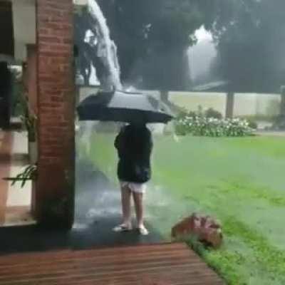 This legit made me go 