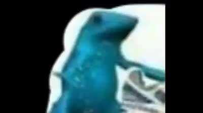 Obra-Prima Brasileira: O sapo