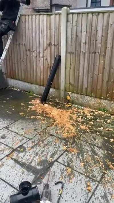 lads unblock rancid poo pipe