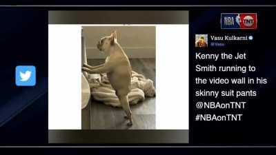 [Highlight] TNT crew breaks down in laughter in response to a dog picture that supposedly look like Kenny the Jet in skinny suit pants
