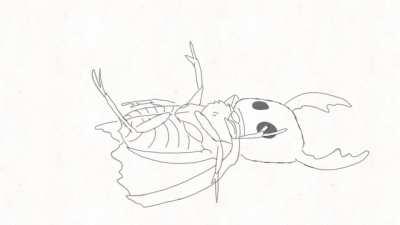 Hornet’s Guide to Defeating an Enemy