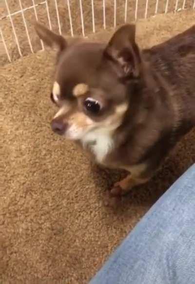 What the hell is this, Janet?