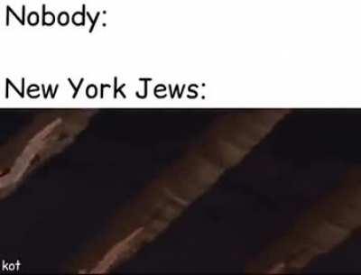 NYC seems like a quirky and entertaining place to RULE and enjoy life.