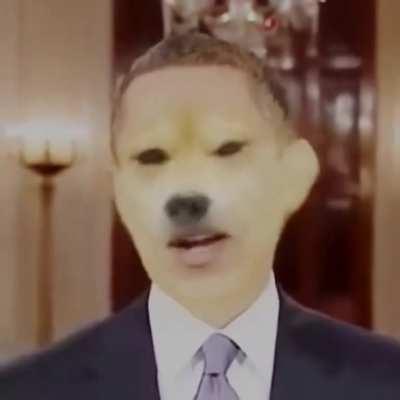 Cursed_dogebama