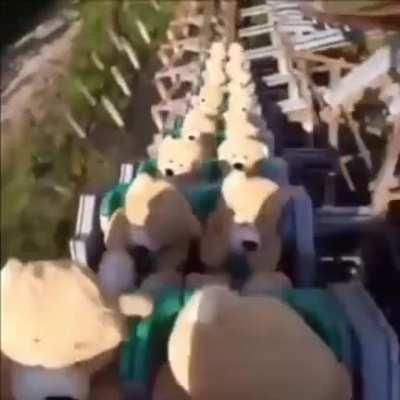 look up Google. com and type awesome in the search bar