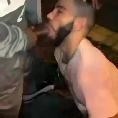 Y’all fw the new album???