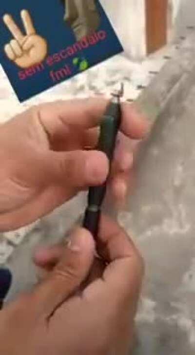 Diretora: Não pode arma na escola!! Cariocas: