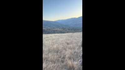 I like my new face paint