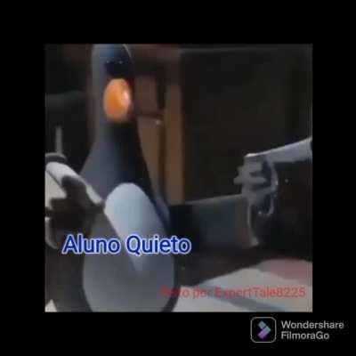 FIZ MEU PRIMEIRO MEME, ESPERO QUE GOSTEM (se puderem deixem dicas para mim nos comentários)