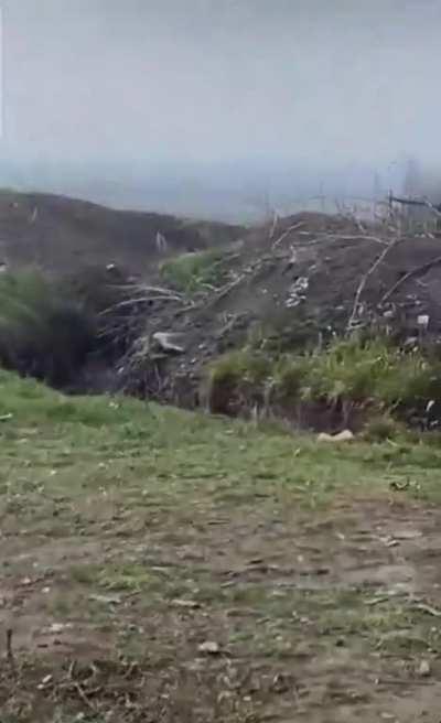 Kitties fighting and a puppy entering the scene right in front of Ukrainian trench