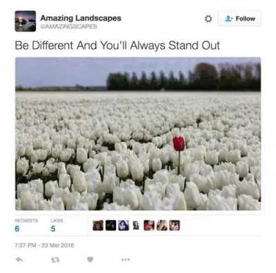 Be Different And You'll Always Stand Out