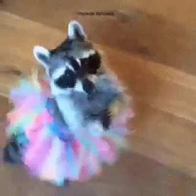 Transgirls coming out of their room to show off the new girls clothes they bought that day be like...