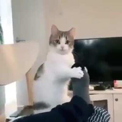 Physical therapist trying to fix the foot