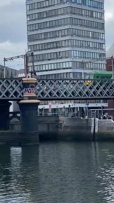 Summer in Ireland. Jumping from Dart bridge in Dublin.
