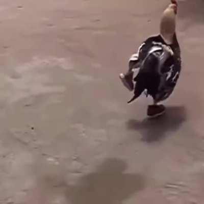 Some got drip, rakan got the sauce