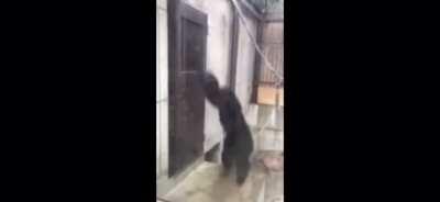 Gamers trying to log into the server and get their free copy of Watch Dogs 2