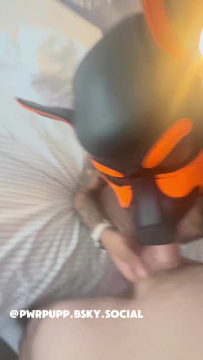 Now that’s a good boy 🐶