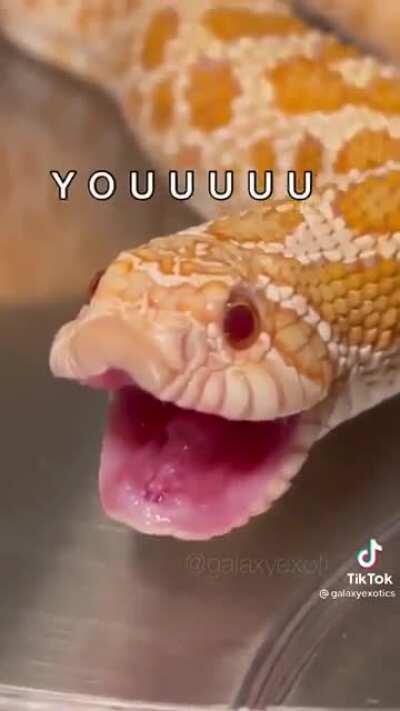 Day 2 of posting this till mxr notices