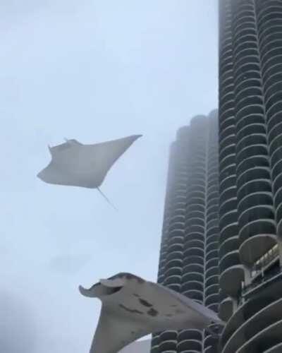 I don't remember this happening yesterday...