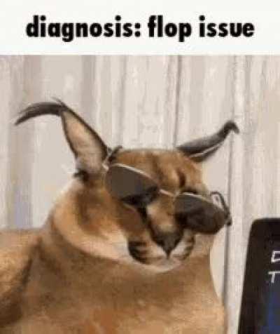 No I don't have a flop issue you do!!