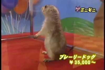 For zooming in at that moment