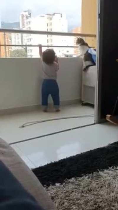 Cat stopping baby from climbing on balcony.