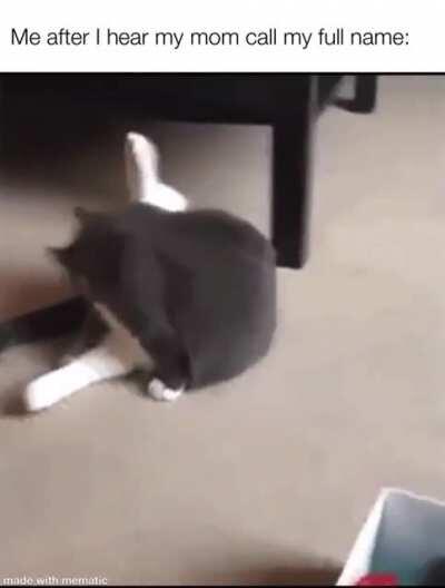 At attention in 0.01 seconds