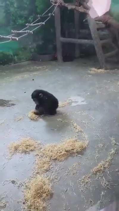 Lil bro got a mission to accomplish 