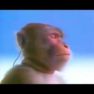 When You Soak In That Guitar Solo!